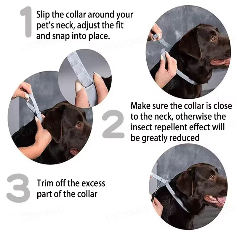 Dog Anti Flea And Tick Collars - Pet Immune Pir Sensor recension och pris