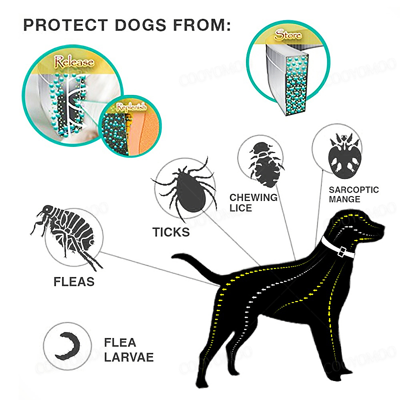 Dog Anti Flea And Tick Collars - Pet Immune Pir Sensor recension och pris