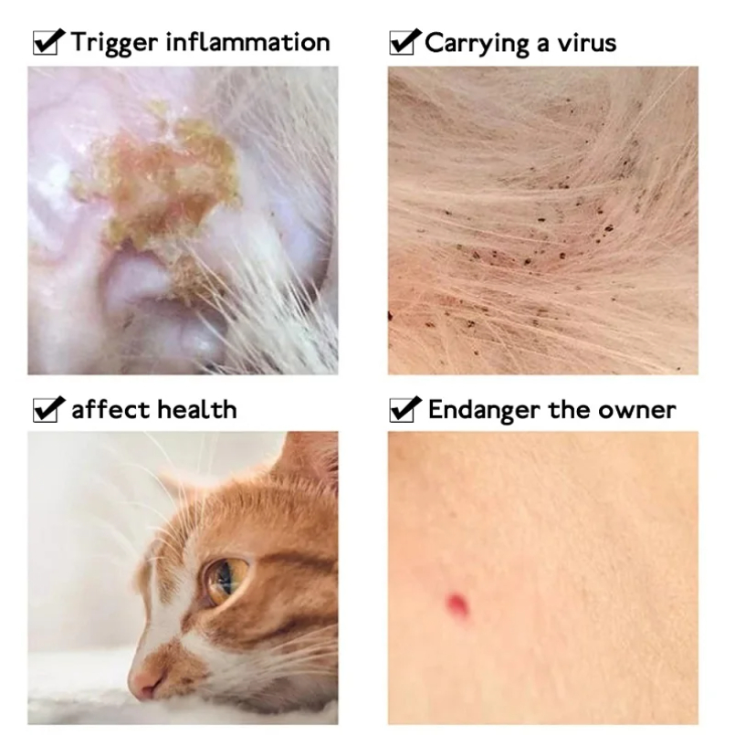 Anti Flea Tick Collar For Cat  - Pet Immune Pir Sensor recension och pris